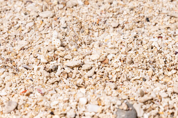 A detailed view of beach sand scattered with smooth pebbles, providing an earthy, natural texture ideal for use in design backgrounds, wellness themes, or beach-inspired concepts.