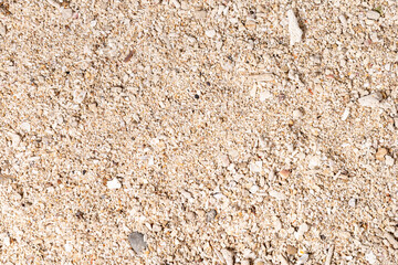 Natural Beach Sand and Pebbles Texture for Background Use