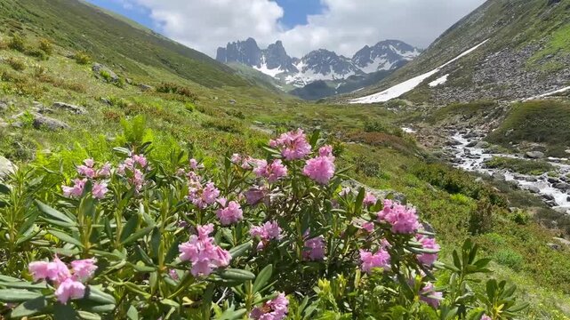 Ka&ccedil;kar Mountains National Park Natural landscapes