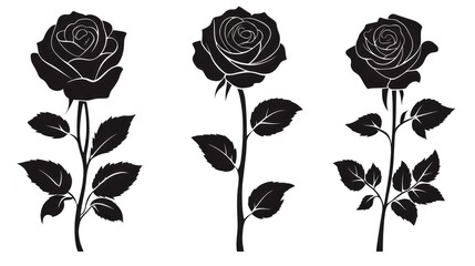 Vector rose silhouettes on white background.  Possible use in design elements