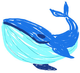 blue whale vector illustration