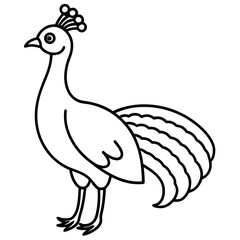 A simple line drawing of a Peacock