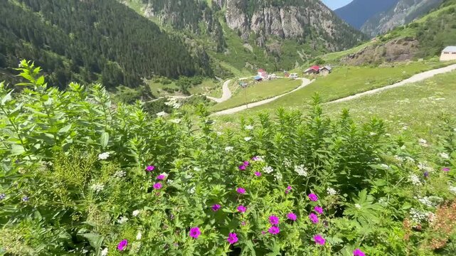 Ka&ccedil;kar Mountains National Park Natural landscapes