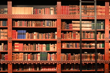 An old library in Europe