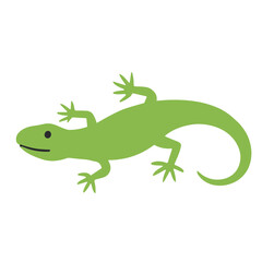 A simple, stylized illustration of a green lizard with its body stretched out and tail curled.