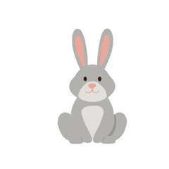 A cute, grey bunny rabbit sits calmly, facing forward.