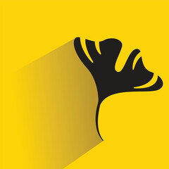 leaf with shadow on yellow background