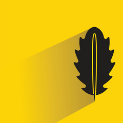 leaf with shadow on yellow background