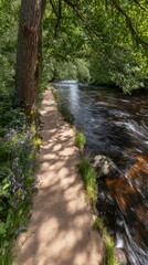 Serene Riverside Pathway Surrounded by Lush Green Trees