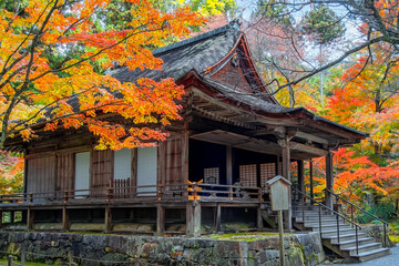 Scenic view of  Sanzen-in temple  with a colorful autumn garden in Ohara, northern Kyoto