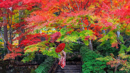Japanese Woman in Traditional Kimono Dress at Sanzen-in temple  with a colorful autumn garden in...