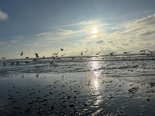 sunset on the beach 