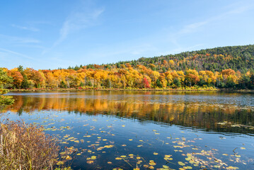 Mountain lake with wooded shores at the peak of fall foliage under clear blue sky. Reflection in the calm waters.