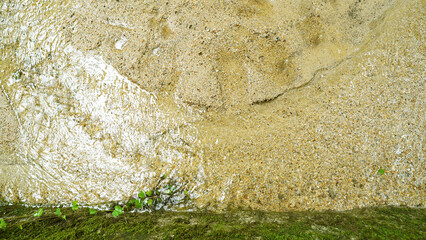 Clear Flowing Water Over Sandy Riverbed with Moss and Climbing Vines