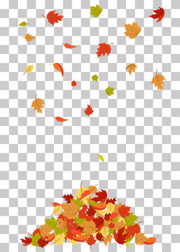 Autumn leaves piled up. Falling leaves Autumn foliage Colorful tree leaves on transparent background Autumn illustration Vector