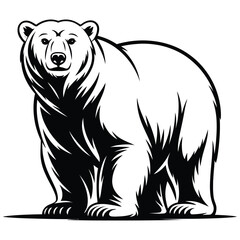 brown bear vector