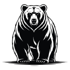 bear vector illustration