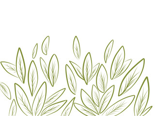 Leaves pattern outline  sketch frame background.eps