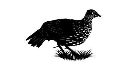 Sri Lanka Spurfowl bird, black isolated silhouette