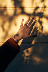 Female hand in warm sunlight with plant shadows on a textured wall