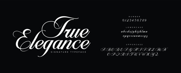 Royal Signature Elegant Branding Typeface. signature Font Calligraphy Logotype Script elegant Font Type Font lettering handwritten




