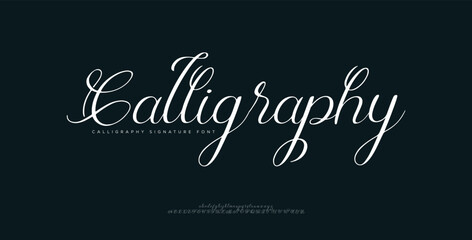 The Elegant Pen Professional Signature Script. signature Font Calligraphy Logotype Script elegant Font Type Font lettering handwritten




