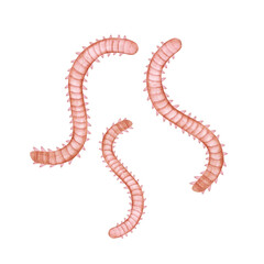 Obraz premium 海釣り 魚釣り 釣り餌 アオイソメ 水彩 イラスト