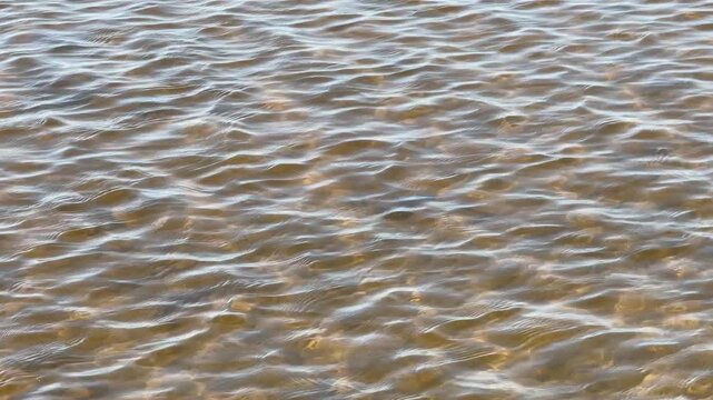 Beach with shallow small waters, seascape video. Empty water surface footage with no people around. Summer day scene, vacation, holiday and relaxation theme background