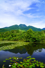 夏のいもり池から眺めた妙高山