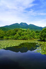 夏のいもり池から眺めた妙高山