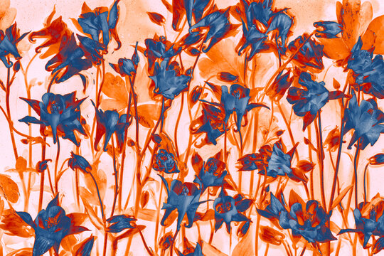 Abstract digital illustration of columbine flowers in warm orange and cool blue tones on a light background. 