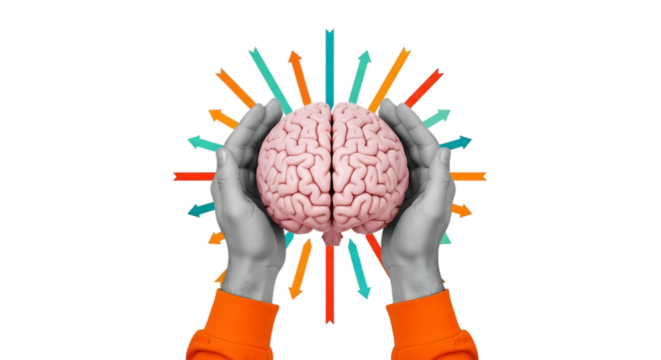 Hands holding brain with colorful rays isolated on transparent background