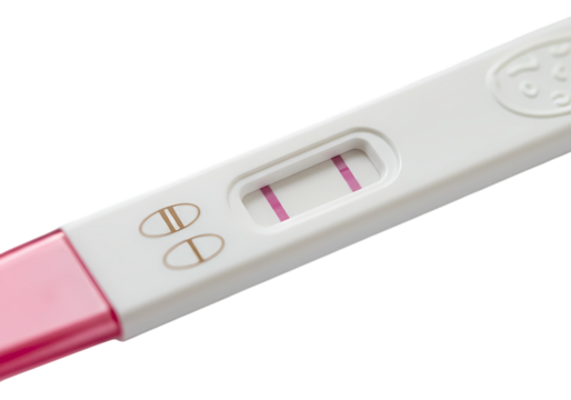 Positive Pregnancy Test Result on transparent background