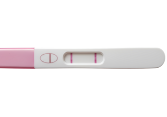 Positive Pregnancy Test Result Two Lines Indicate Pregnancy on transparent background