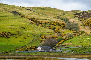 Fototapety na wymiar - Fototapeta24.pl