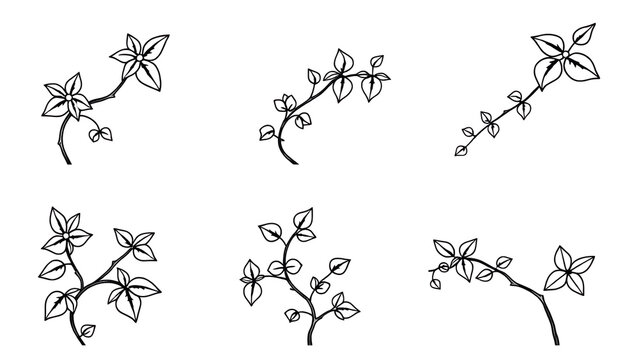 Sechs elegante schwarze florale Vektorgrafiken mit Bl&uuml;ten und Bl&auml;ttern &ndash; einzeln angeordnet, transparent, perfekt f&uuml;r Designprojekte