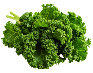 Fresh leafy green vegetable bunch, vibrant color, isolated on transparent background, studio shot, healthy food, nutrition, detailed leaf texture