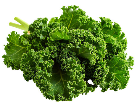 Fresh leafy green vegetable bunch, vibrant color, isolated on transparent background, studio shot, healthy food, nutrition, detailed leaf texture