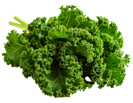 Fresh leafy green vegetable bunch, vibrant color, isolated on transparent background, studio shot, healthy food, nutrition, detailed leaf texture