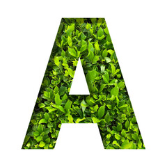 A shape made of leaves isolated on transparent background, go green concept, PNG	
