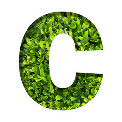 C shape made of leaves isolated on transparent background, go green concept, PNG	
