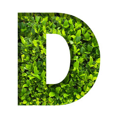 D shape made of leaves isolated on transparent background, go green concept, PNG	
