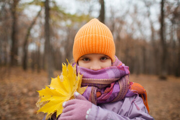 cheerful little child girl  holds autumn yellow leaves and plays in the autumn park. copy space