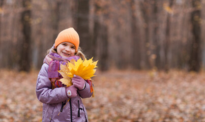 cheerful little child girl  holds autumn yellow leaves and plays in the autumn park. copy space