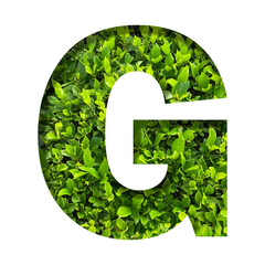 G shape made of leaves isolated on transparent background, go green concept, PNG	
