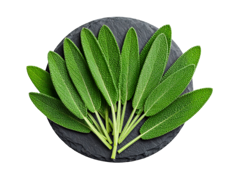 Fresh sage leaves arranged on a dark gray stone circle, isolated against a black background. The leaves are vibrant green with visible tiny specks, creating a textured appearance