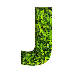 J shape made of leaves isolated on transparent background, go green concept, PNG	

