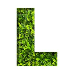 L shape made of leaves isolated on transparent background, go green concept, PNG	
