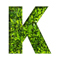 K shape made of leaves isolated on transparent background, go green concept, PNG	
