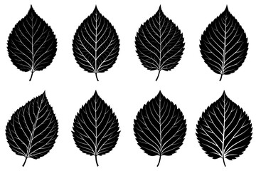 Obraz premium Illustration of eight black leaves with detailed venation arranged in two rows on a white background